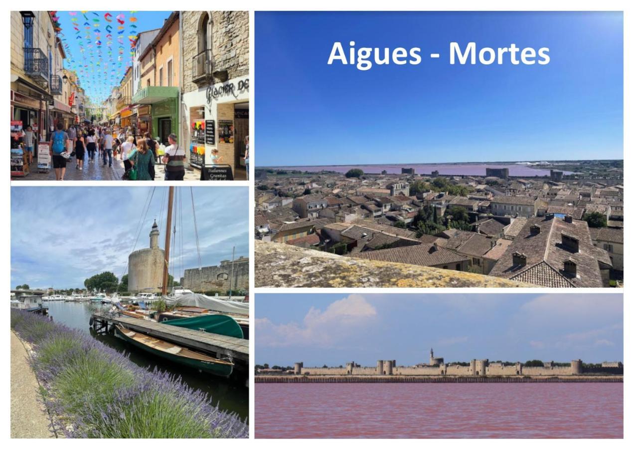 Le Mazet Sooksabai, Confort, Charme Et Decouverte En Petite Camargue Saint-Laurent-dʼAigouze Exterior foto